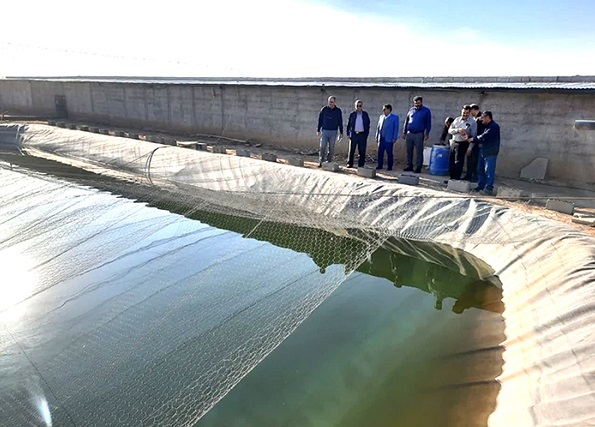 بازدید نمایندگان دانشگاه آزاد از طرح‌های کشاورزی و شیلات واحد اشکذر