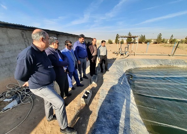 بازدید نمایندگان دانشگاه آزاد از طرحهای کشاورزی و شیلات واحد اشکذر بازدید نمایندگان دانشگاه آزاد از طرحهای کشاورزی و شیلات واحد اشکذر