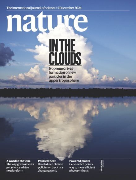 هفته چهارم نوامبر/ از نقش مشارکت در زندگی انسان‌ها تا درمان بیماری با کمک سلول‌های ایمنی