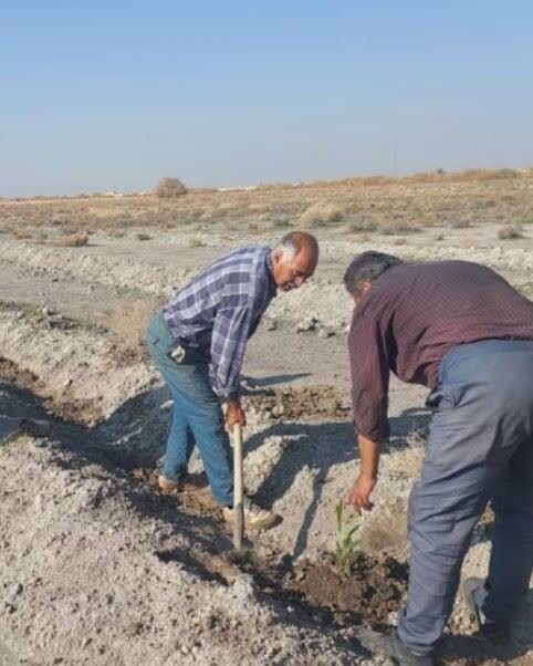 آغاز عملیات کاشت ۱۵ هزار درخت «اکالیپتوس» و «گز» در زمین ۵۰ هکتاری اسماعیل‌آباد