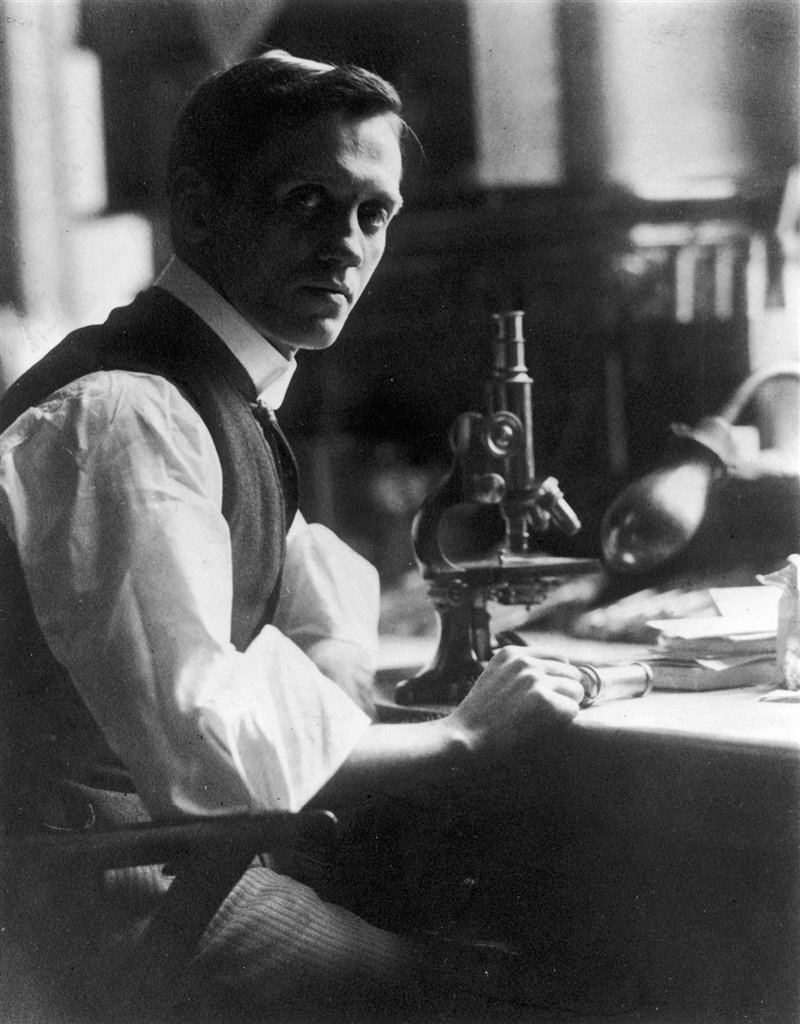 مهم‌ترین یافتن اتفاقی تاریخ| ظرف کپک‌‌زده آقای فلمینگ!