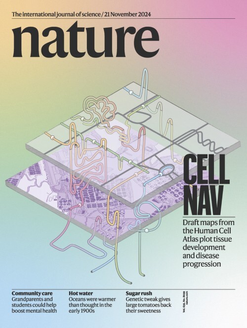هفته سوم نوامبر/ از «نابودی جهان» تا «داستان پیچیده انسان و اسب!»