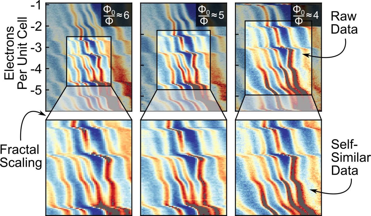 پروانه هافستادتر، کشفی انقلابی در دنیای کوانتومی پس از 50 سال