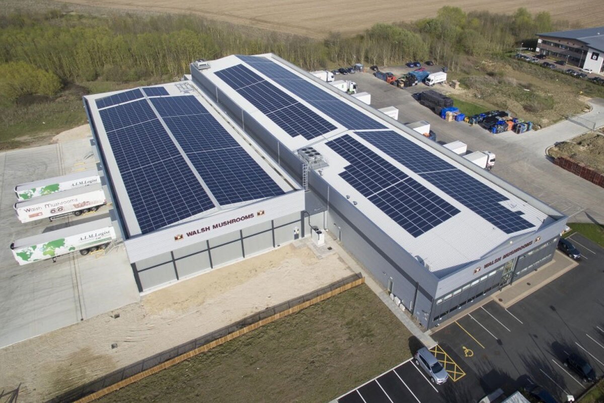 افزایش ۲۹ درصدی تولید برق خورشیدی در ۲۰۲۴ با رکوردی تاریخی