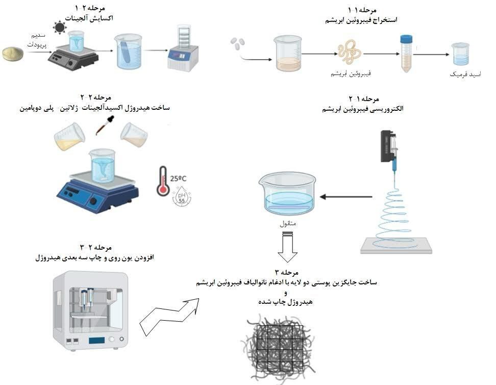 ساخت نخستین زخم پوش دولایه با مزیت‌های بیشتر نسبت به نمونه‌های خارجی