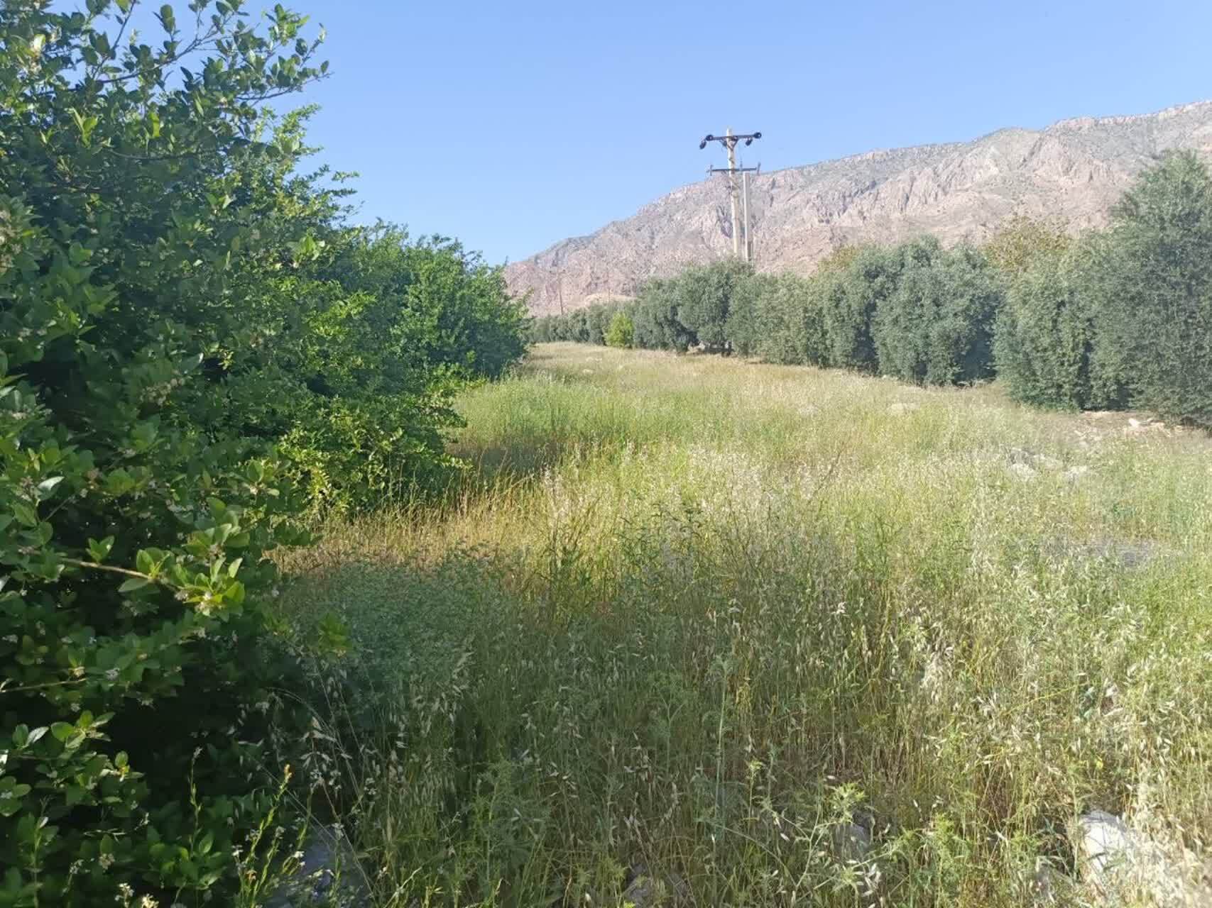 آغاز فصل جدیدی در زیست‌بوم کشاورزی کهگیلویه و بویراحمد؛ توسعه پایدار کشاورزی با اتکا به ظرفیت‌های محلی