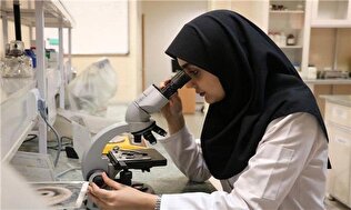 بررسی سیاست‌های اثرگذار در افزایش سهم اشتغال زنان