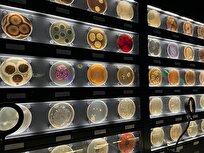 تماشای دنیای پنهان میکروارگانیسم‌ها در موزه میکروب‌ها