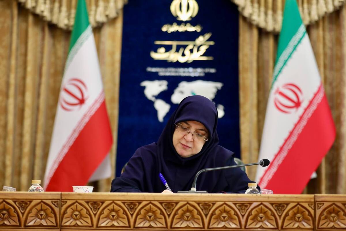 مهاجرانی: دولت برای عبور از ناترازی انرژی، از خودش آغاز کرده است