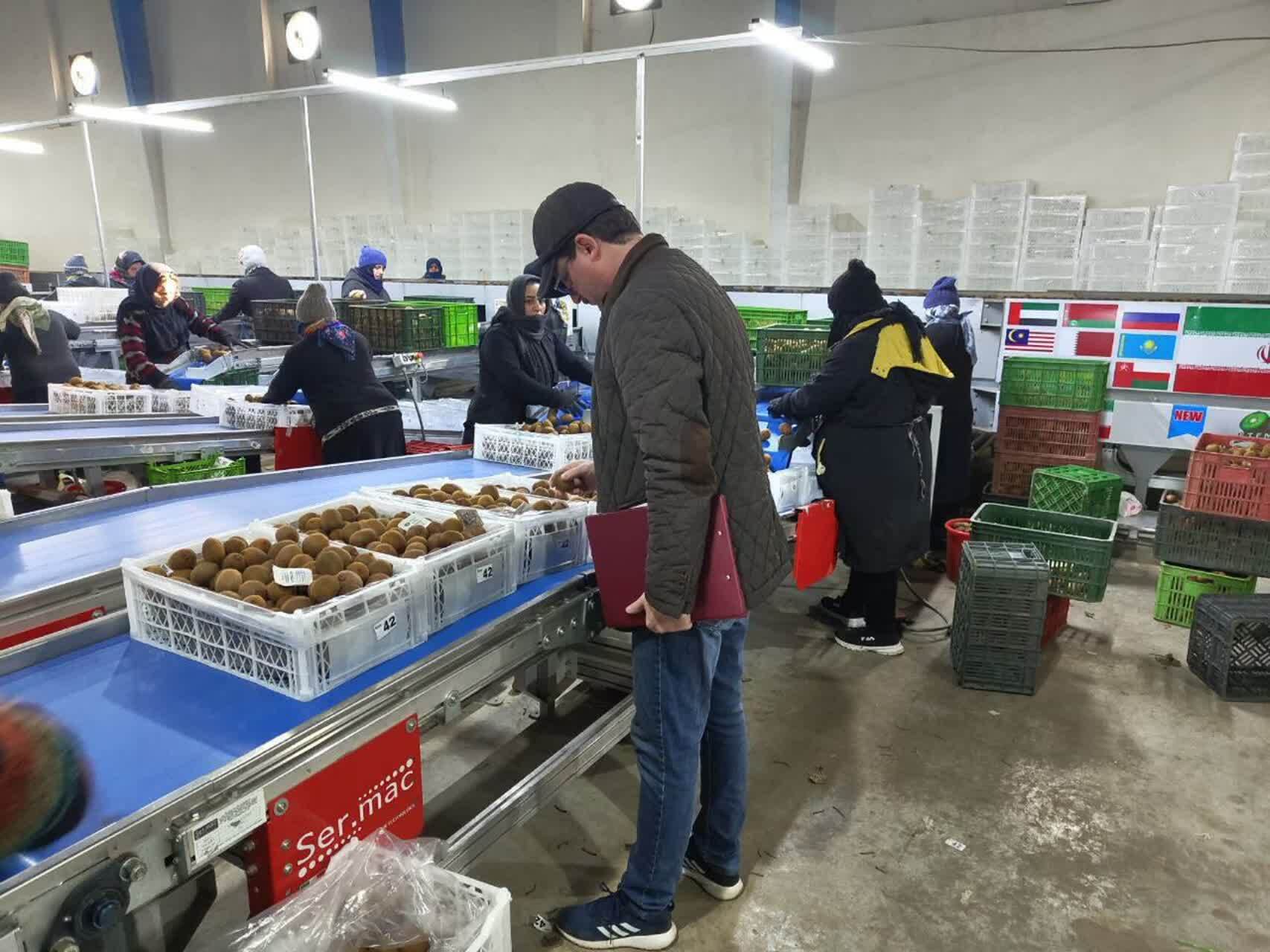 رونق فعالیت کلینیک گیاهپزشکی دانشگاه آزاد گیلان در ایام نوروز رونق فعالیت کلینیک گیاهپزشکی دانشگاه آزاد گیلان در ایام نوروز