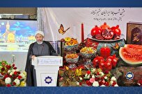 ایمانی‌پور-ایرانیان-خارج-از-کشور-شرکای-ما-در-دیپلماسی-فرهنگی-هستند