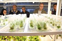 بازدید-مجریان-طرح-بازمهندسی-کشاورزی-و-منابع-طبیعی-دانشگاه-آزاد-از-واحد-کرمانشاه