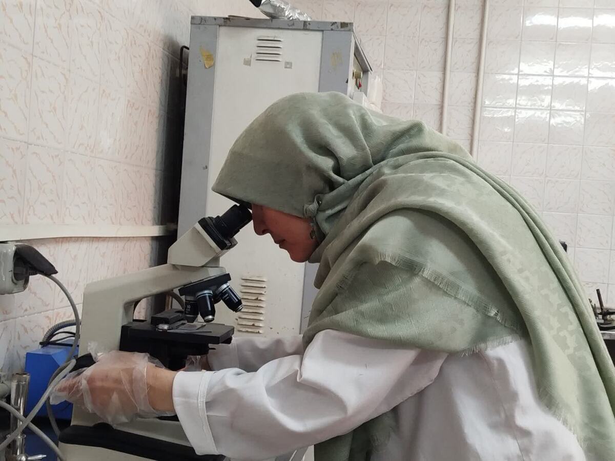 از اجرای طرح تحقیقاتی انفجار تا اختراعی نوآورانه در صنعت غذایی از اجرای طرح تحقیقاتی انفجار تا اختراعی نوآورانه در صنعت غذایی