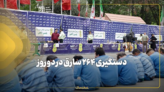 دستگیری ۲۶۴ سارق در دو روز
