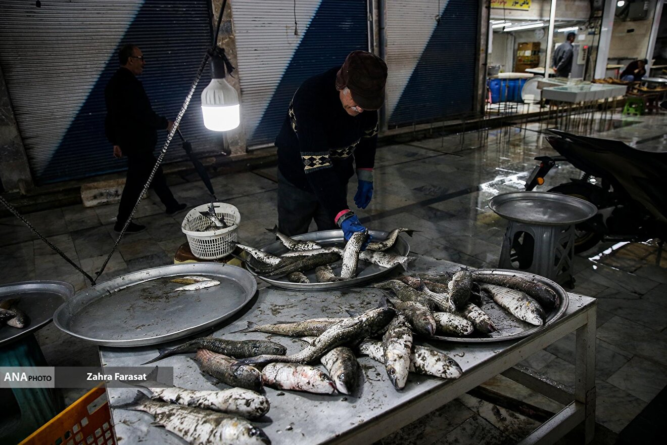 بازار ماهی‌فروشان