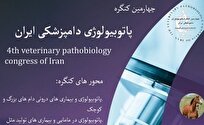 ارسال ۳۰۰ مقاله به چهارمین کنگره پاتوبیولوژی دامپزشکی