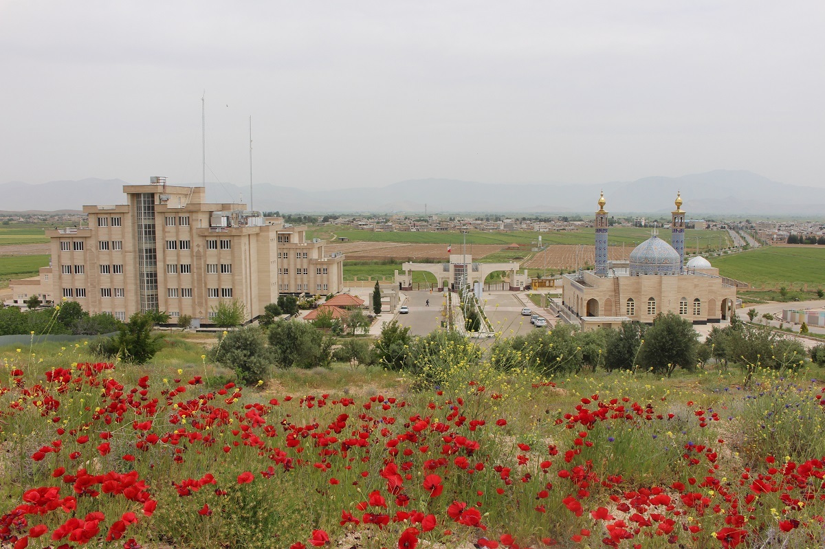 فارغالتحصیلی بیش از ۸ هزار دانشجو در دانشگاه آزاد بیضا فارغالتحصیلی بیش از ۸ هزار دانشجو در دانشگاه آزاد بیضا