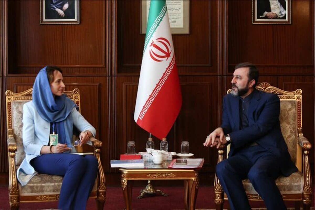 غریب‌آبادی: تحریم‌های یکجانبه ناقض حقوق بشر است