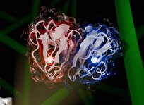 تبدیل پسماند به انرژی با کشف آنزیم جدید «سل-او-سی-ای»