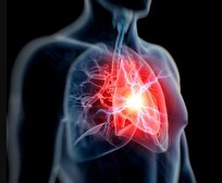 شناسایی خطر حمله قلبی و شکستگی استخوان در افراد مسن تنها با یک اسکن استخوان