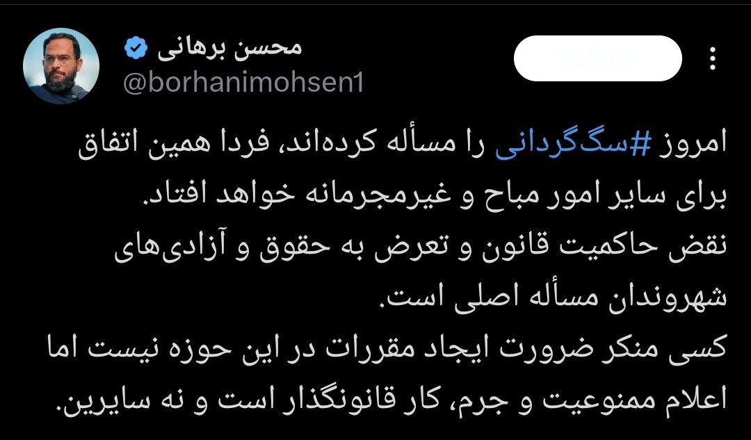 سگگردانی؛ از بیقانونی شهری تا بحران امنیت روانی سگگردانی؛ از بیقانونی شهری تا بحران امنیت روانی