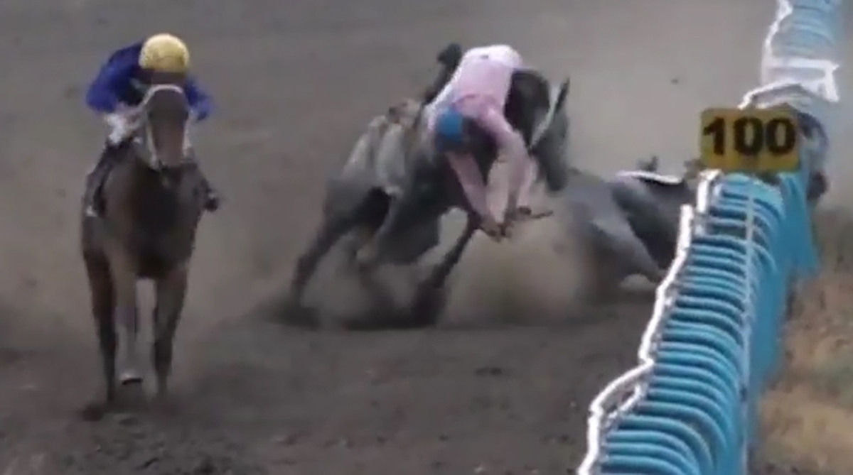 هیچ دستورالعملی مبنی بر استاندارسازی به ما ابلاغ نشده است/ چرا شرکت توسعه به کمک ما نمی آید؟ هیچ دستورالعملی مبنی بر استاندارسازی به ما ابلاغ نشده است/ چرا شرکت توسعه به کمک ما نمی آید؟