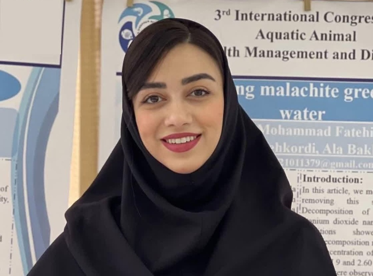 از انقلاب در انرژی خورشیدی تا جان تازه بر لب چاقو از انقلاب در انرژی خورشیدی تا جان تازه بر لب چاقو