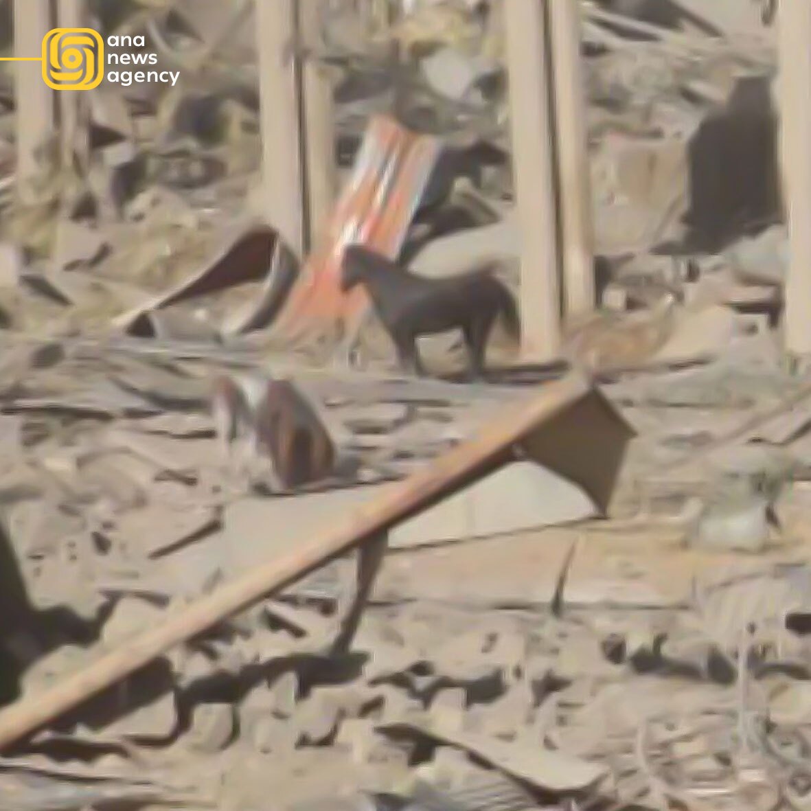 گزارش درگیری لحظه‌به‌لحظه با متجاوزان صهیونیستی در برخی استان‌های کشور +فیلم و عکس