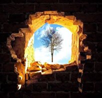 بال‌های روشن؛ فردا از همه برایت خواهیم نوشت