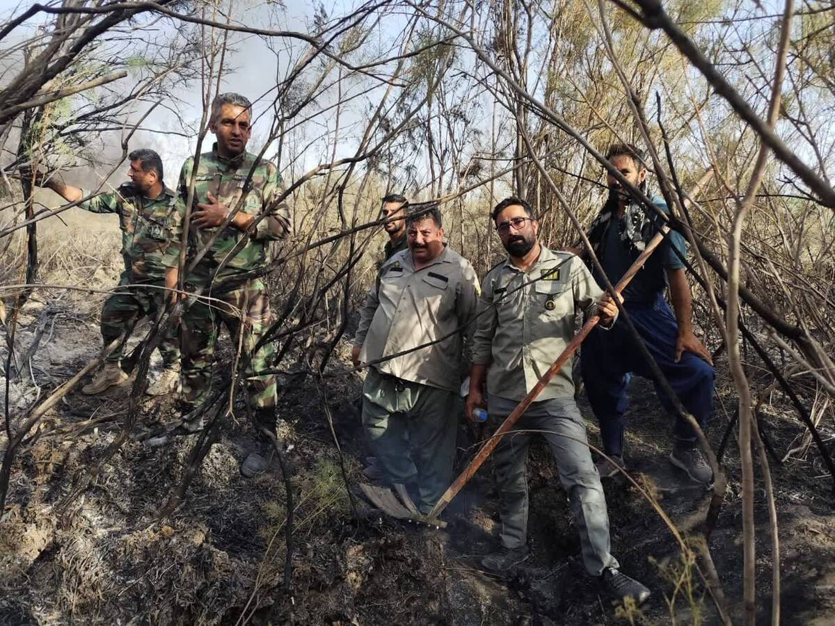 آتش‌سوزی مراتع ورامین با مشارکت مردمی مهار شد