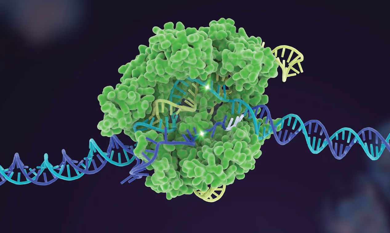 آیا مدیریت سلول‌ها به دست انسان است؟