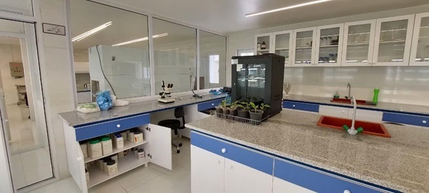 کشت بافت گیاهی گامی بلند در کشاورزی مدرن و حفظ تنوع زیستی برداشت کشت بافت گیاهی گامی بلند در کشاورزی مدرن و حفظ تنوع زیستی برداشت