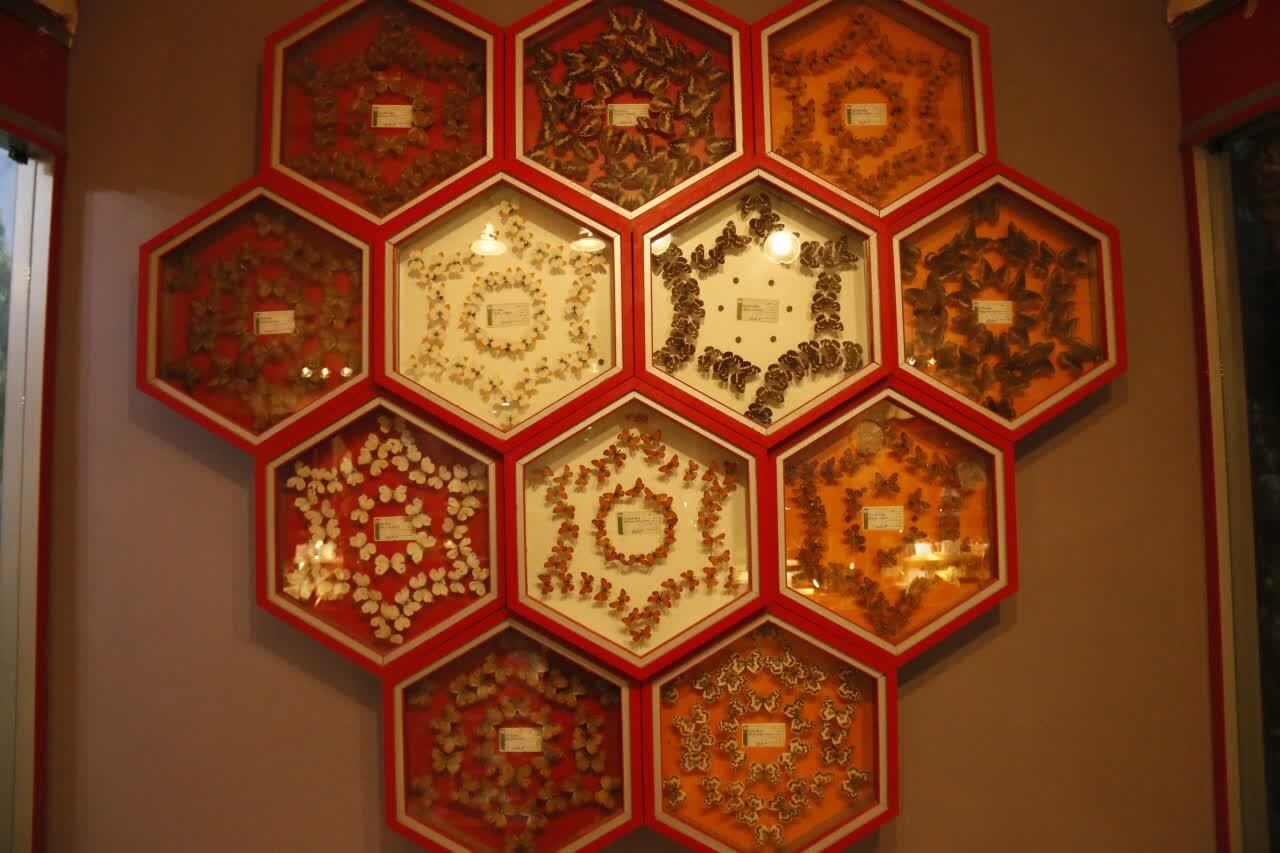 موزه آمادای؛ نماد علمی، فرهنگی و بین‌المللی دانشگاه آزاد اسلامی