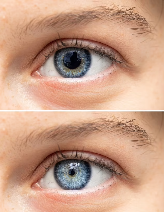 مردمک چشم، شاهد بی‌طرف در دادگاه حافظه