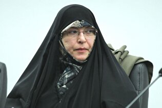 فرهمندپور: احیای عاملیت خانواده در تحولات اخیر/ نوجوانان سرمایه‌های اجتماعی‌اند، نه متهمان وضع موجود