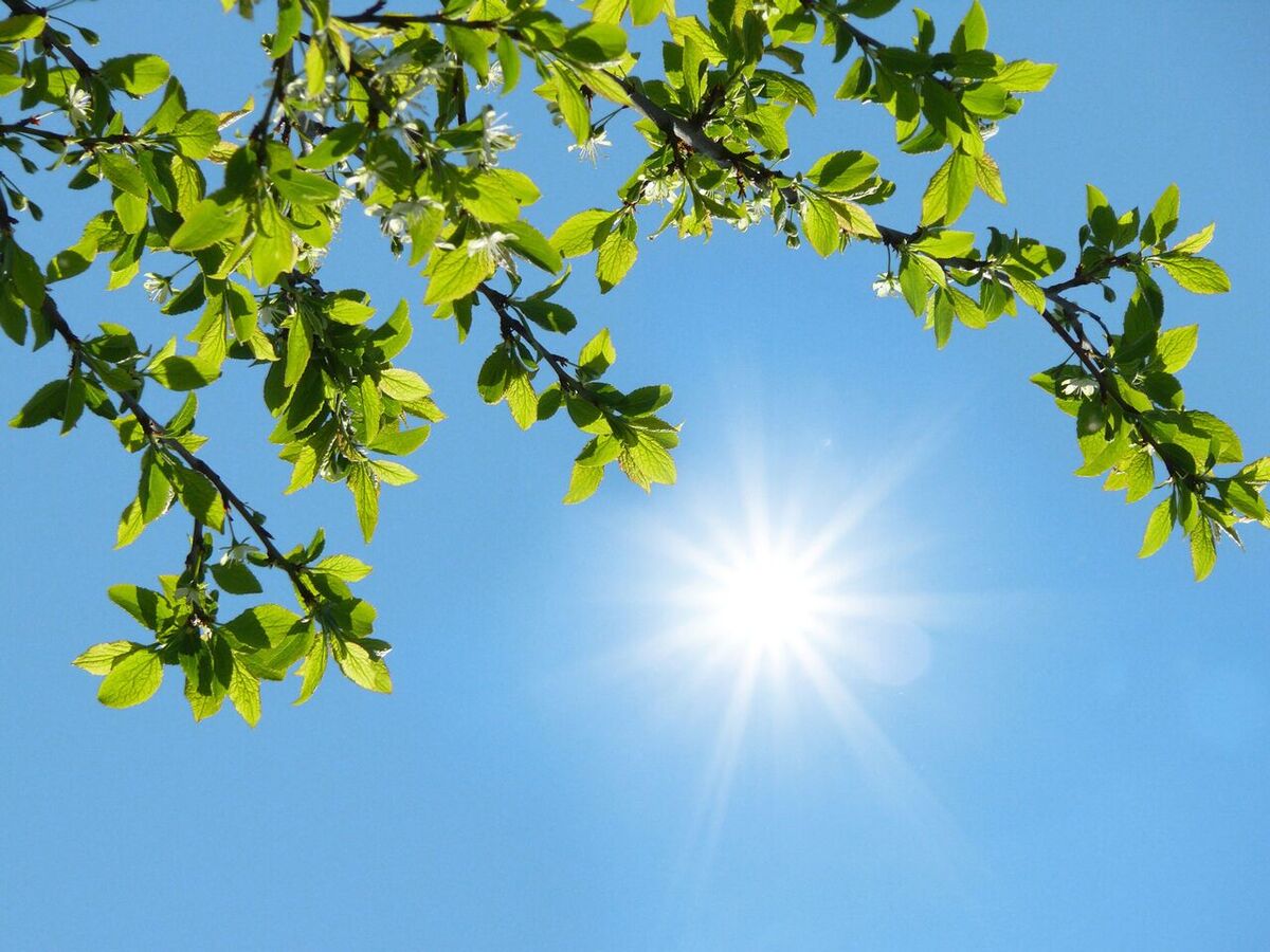 دمای هوای تهران به ۴۰ درجه می‌رسد