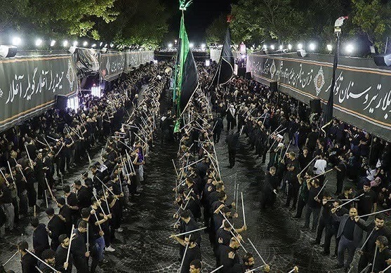 ایرانگردی با «آنا»؛ سفری به دلِ رویدادهای مهم استان‌ها