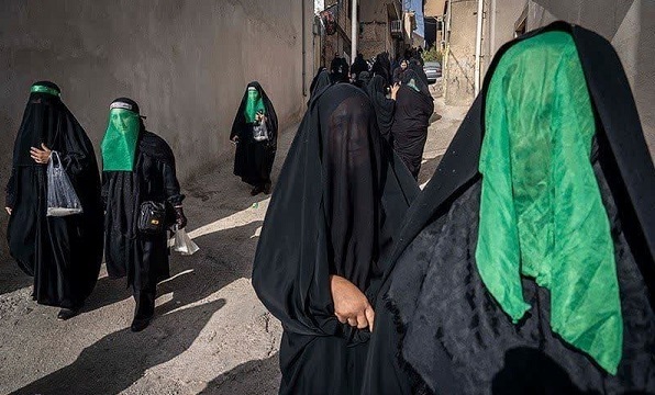 ایرانگردی با «آنا»؛ سفری به دلِ رویدادهای مهم استان‌ها + فیلم و عکس