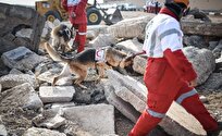 با کمک سگ‌های تجسس ۱۵ نفر زنده و ۱۸۸ شهید را از زیر آوار بیرون آوردیم