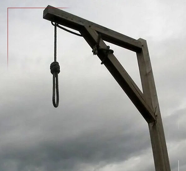 ایران در آیینه «آنا»؛ مروری بر مهمترین رویدادهای استانی + فیلم و عکس ایران در آیینه «آنا»؛ مروری بر مهمترین رویدادهای استانی + فیلم و عکس