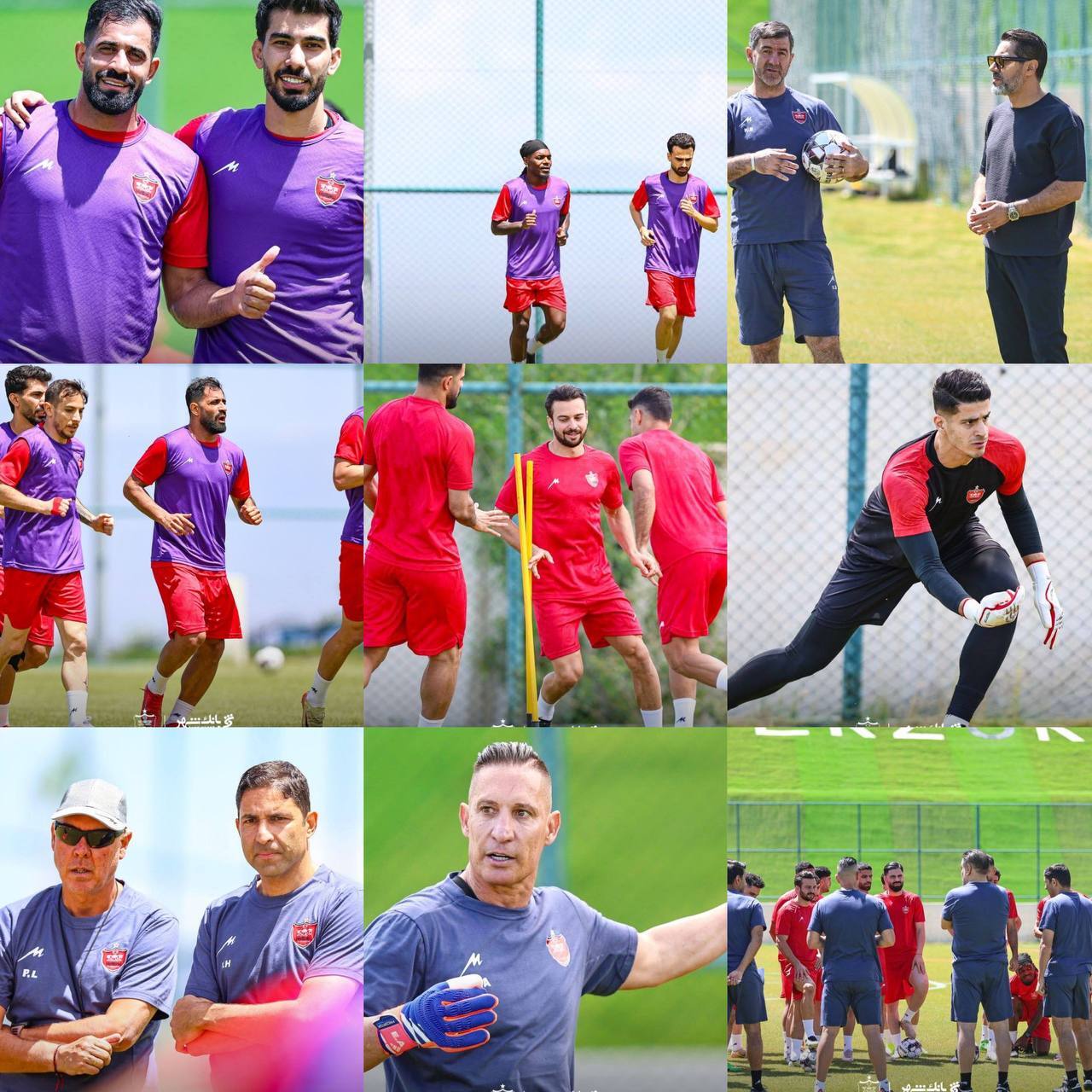 نخستین تمرین فصل جدید پرسپولیس با وحید هاشمیان