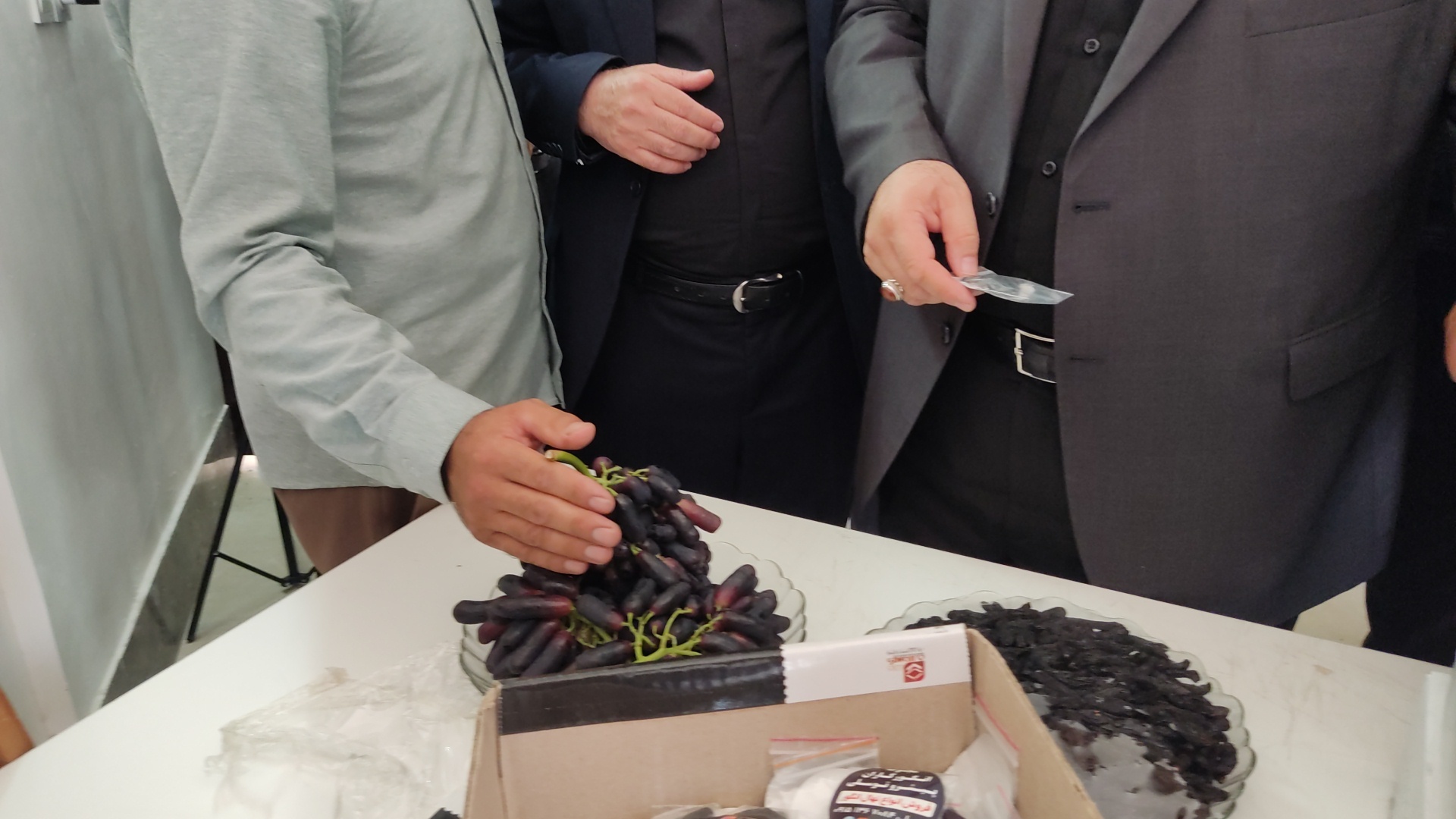 راهاندازی دهکده فناوری کشاورزی و دامپروری در کاشمر راهاندازی دهکده فناوری کشاورزی و دامپروری در کاشمر