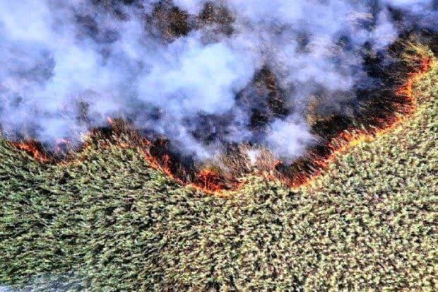 رویدادهای استانی از نگاه آنا + فیلم و عکس