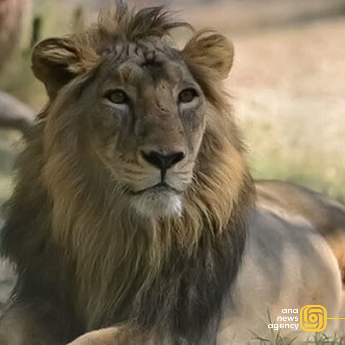 تحولات استانی ۲۴ تیر از نگاه آنا؛ تازه‌ترین اخبار و رویداد‌ها از گوشه و کنار ایران + فیلم و عکس