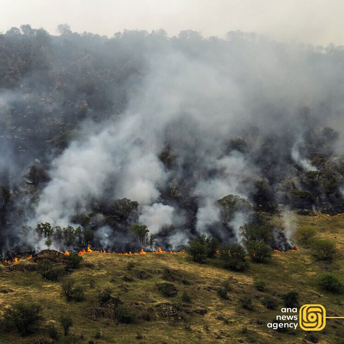 تحولات استانی ۲۴ تیر از نگاه آنا؛ تازه‌ترین اخبار و رویداد‌ها از گوشه و کنار ایران + فیلم و عکس