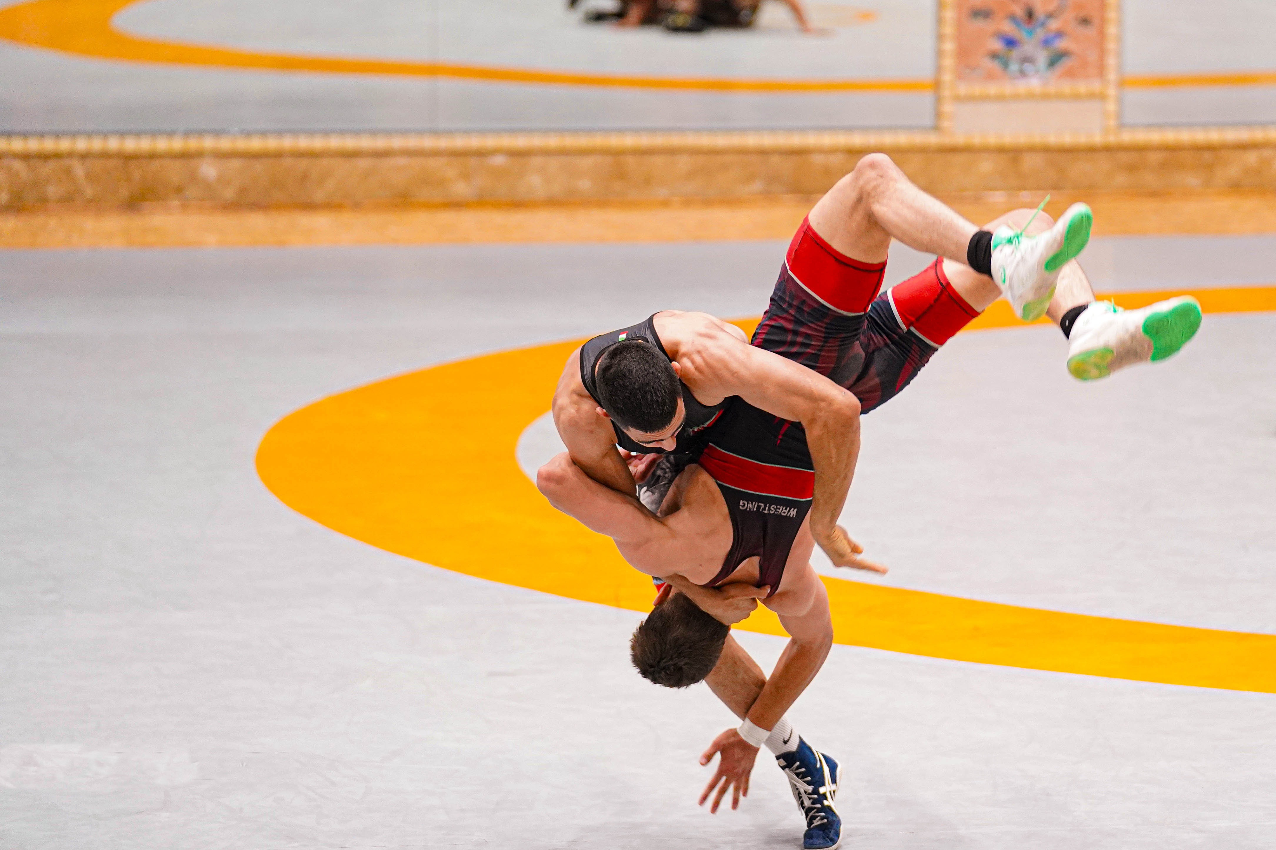 عضو هیئت علمی دانشگاه روانشناس تیم ملی کشتی فرنگی شد عضو هیئت علمی دانشگاه روانشناس تیم ملی کشتی فرنگی شد