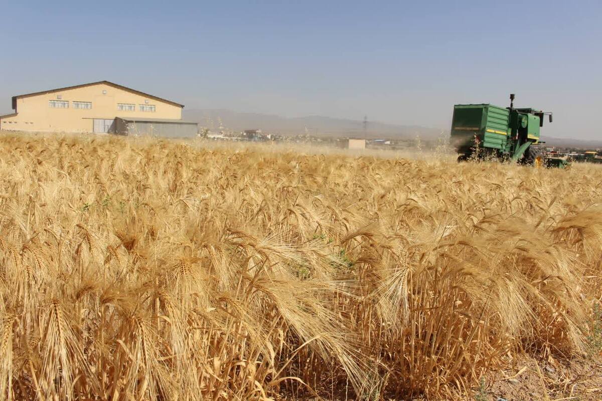 قققققققققق