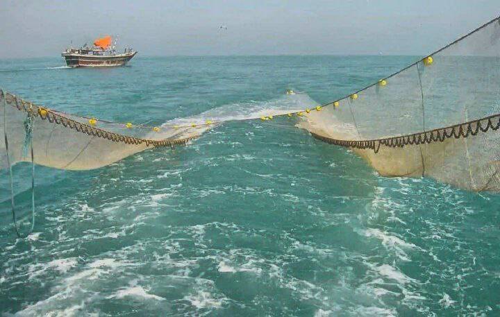 رویدادهای استانی از نگاه آنا رویدادهای استانی از نگاه آنا