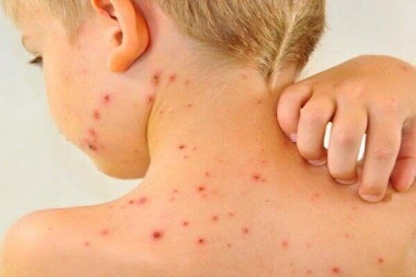 پنجرهای به سوی استانها؛ روایت آنا از تحولات روز + فیلم و عکس پنجرهای به سوی استانها؛ روایت آنا از تحولات روز + فیلم و عکس