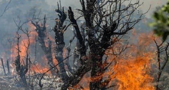 پنجرهای به سوی استانها؛ روایت آنا از تحولات روز + فیلم و عکس پنجرهای به سوی استانها؛ روایت آنا از تحولات روز + فیلم و عکس